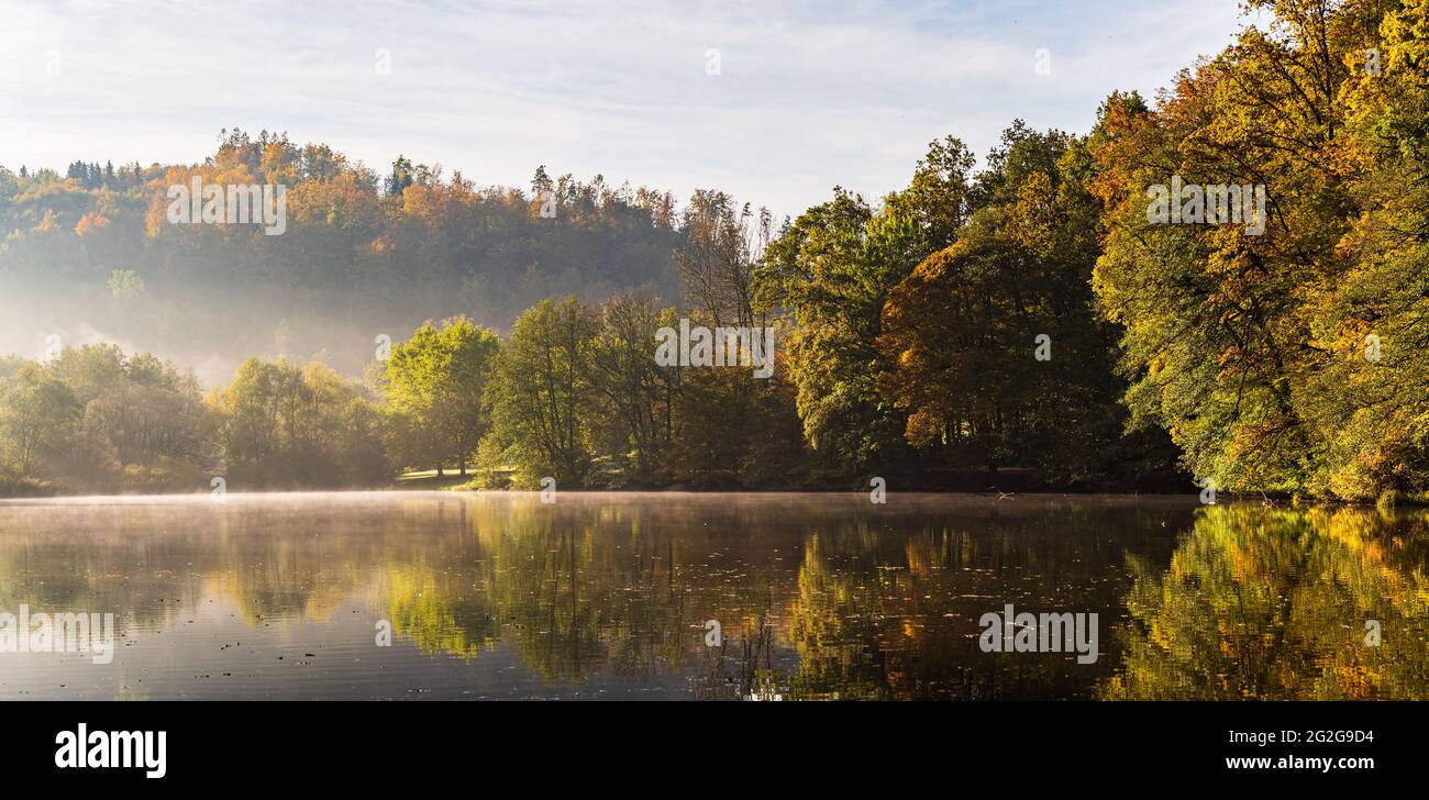 Lago nebbia paesaggio con autunno fogliame e riflessi alberi in Stiria, Thal, Austria. Tema della stagione autunnale. Foto Stock