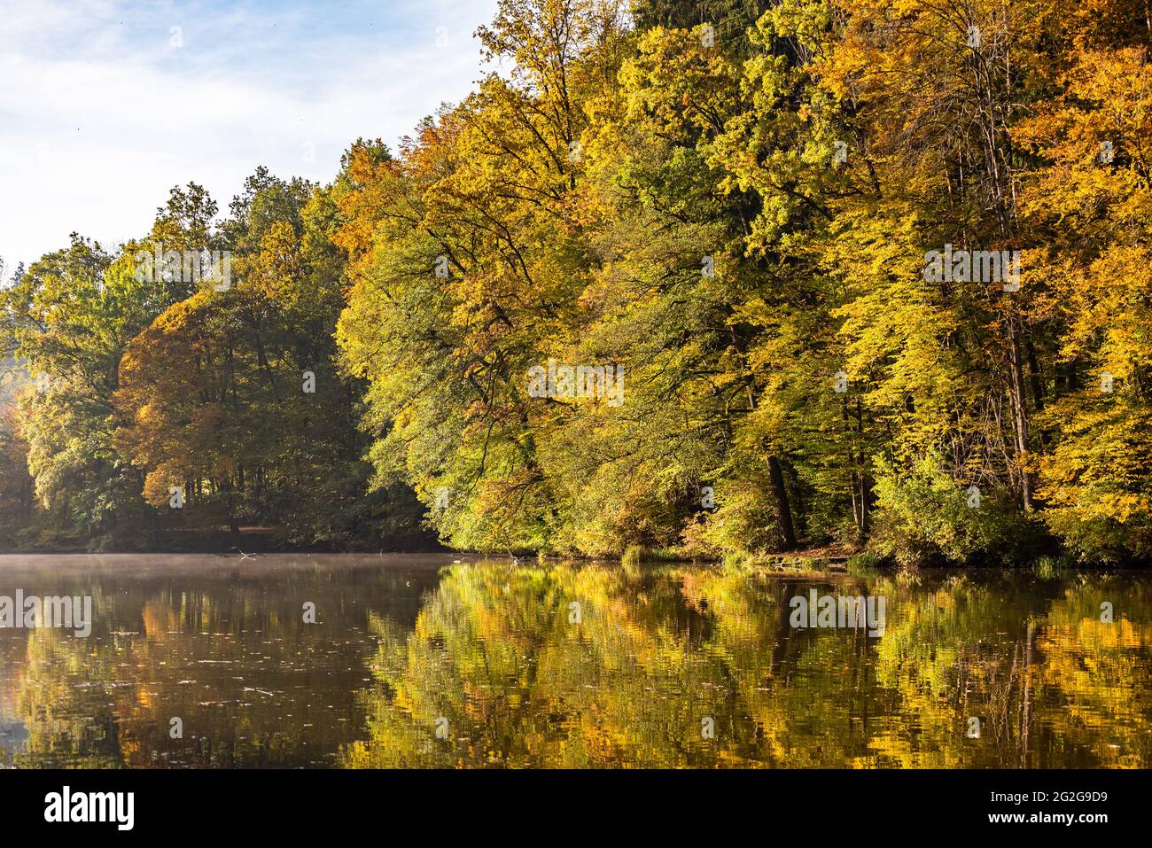 Lago nebbia paesaggio con autunno fogliame e riflessi alberi in Stiria, Thal, Austria. Tema della stagione autunnale. Foto Stock