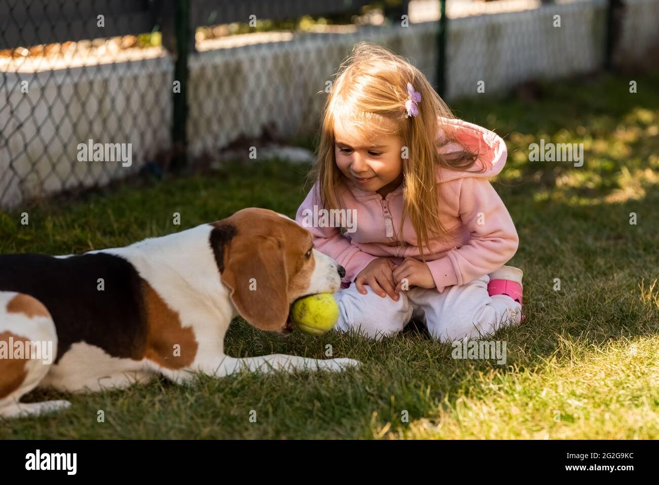 Bambino che gioca con il cane sull'erba. Foto Stock