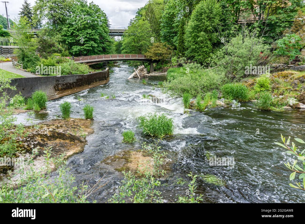 Una vista sul fiume Deschutes e un ponte pedonale a Tumwater, Washington. Foto Stock