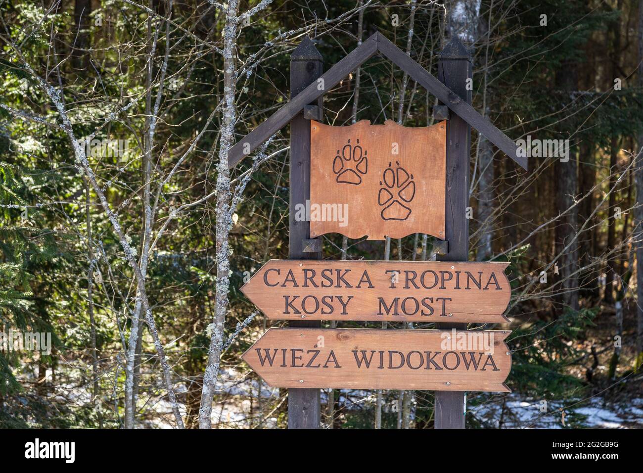 Europa, Polonia, Podlaskie Voivodato, Foresta di Bialowieza / Puszcza Bialowieska - Bialowieza Nationalpark - Kosy Most Foto Stock