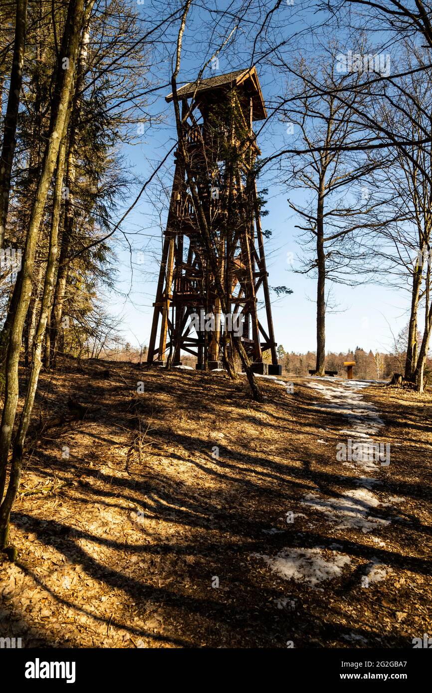 Europa, Polonia, Podlaskie Voivodato, Foresta di Bialowieza / Puszcza Bialowieska - Bialowieza Nationalpark - Kosy Most Foto Stock