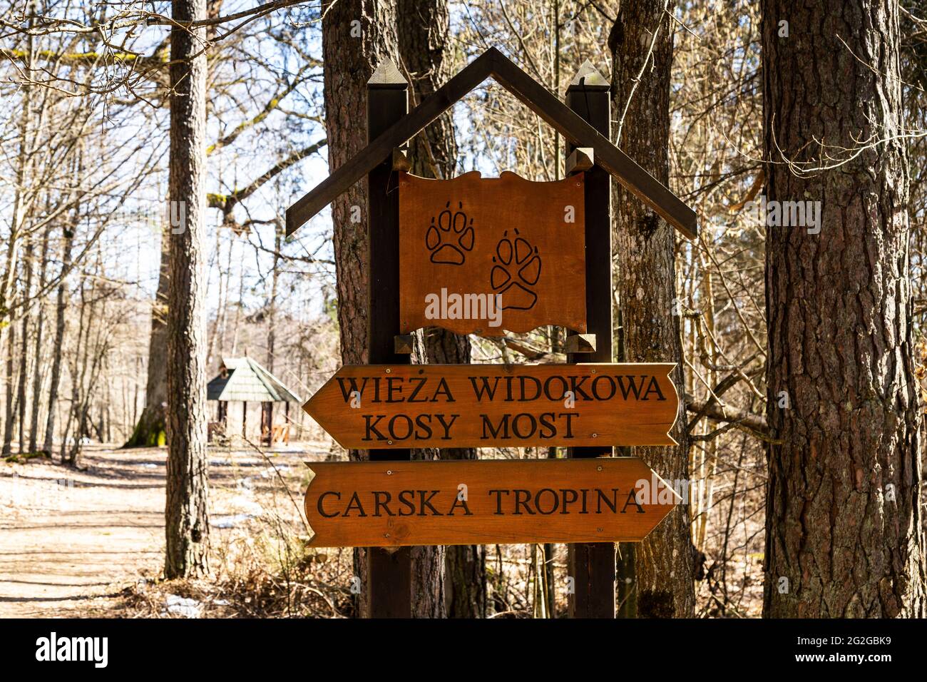 Europa, Polonia, Podlaskie Voivodato, Foresta di Bialowieza / Puszcza Bialowieska - Bialowieza Nationalpark - Kosy Most Foto Stock