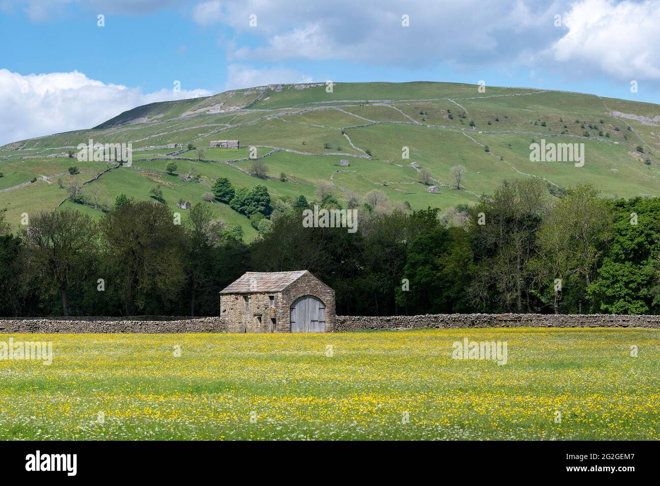 Prati di fiori selvaggi con fienile di pietra tradizionale in, Muker, Swaledale, Yorkshire Dales National Park, Regno Unito. Foto Stock
