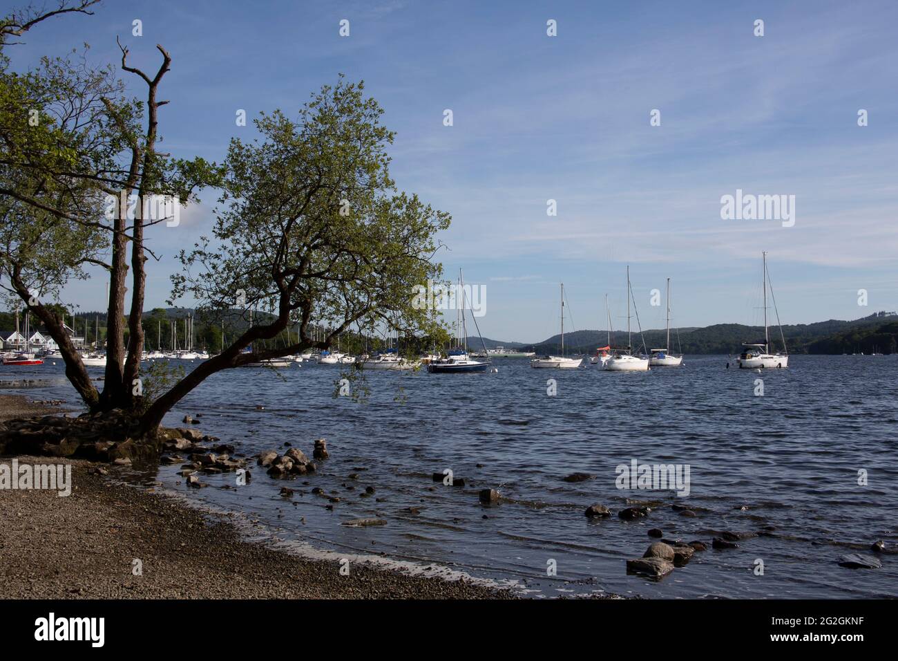 La costa del lago Windermere guardando verso il porto turistico di Bowness-on-Windermere South Lakeland, Cumbria, Inghilterra, Regno Unito Foto Stock