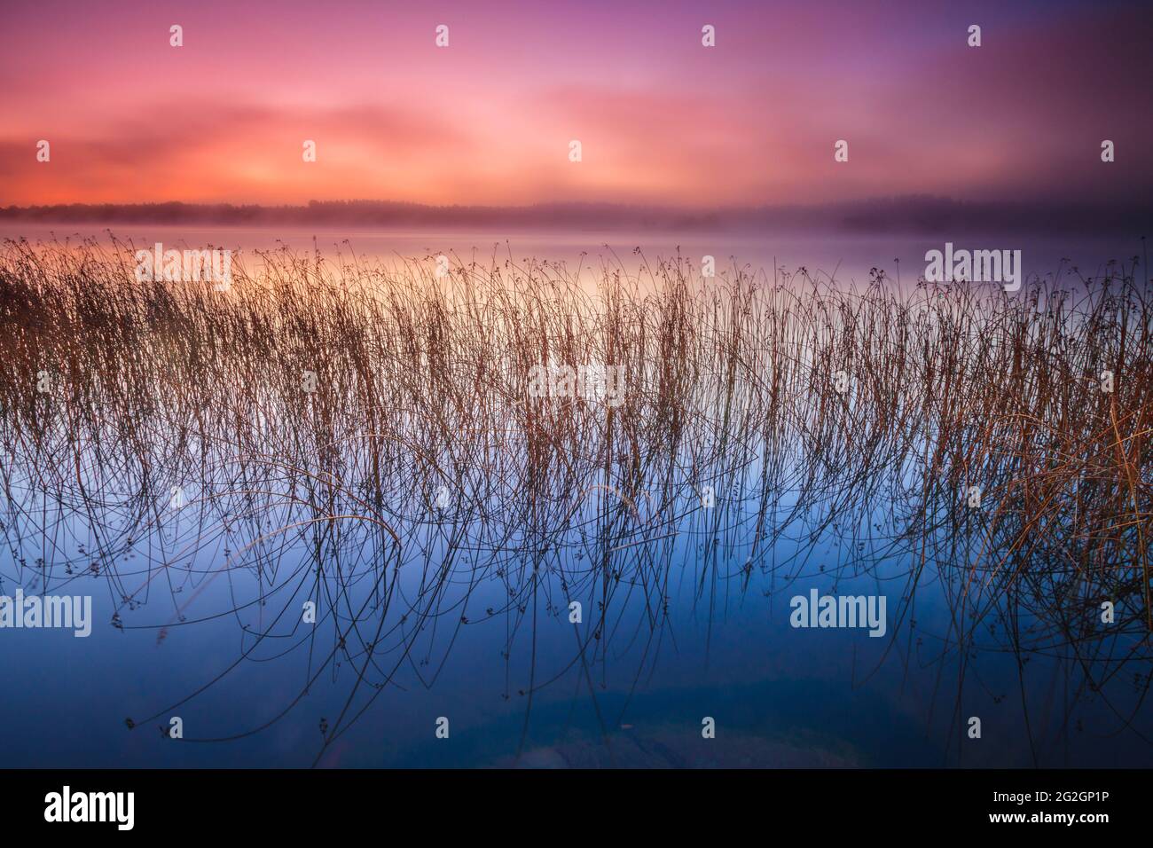 Frosty ottobre mattina presso Vanemfjorden nel lago Vansjø, Østfold fylke, Norvegia. Vansjø è una parte dell'acqua sistema chiamato Morsavassdraget. Foto Stock