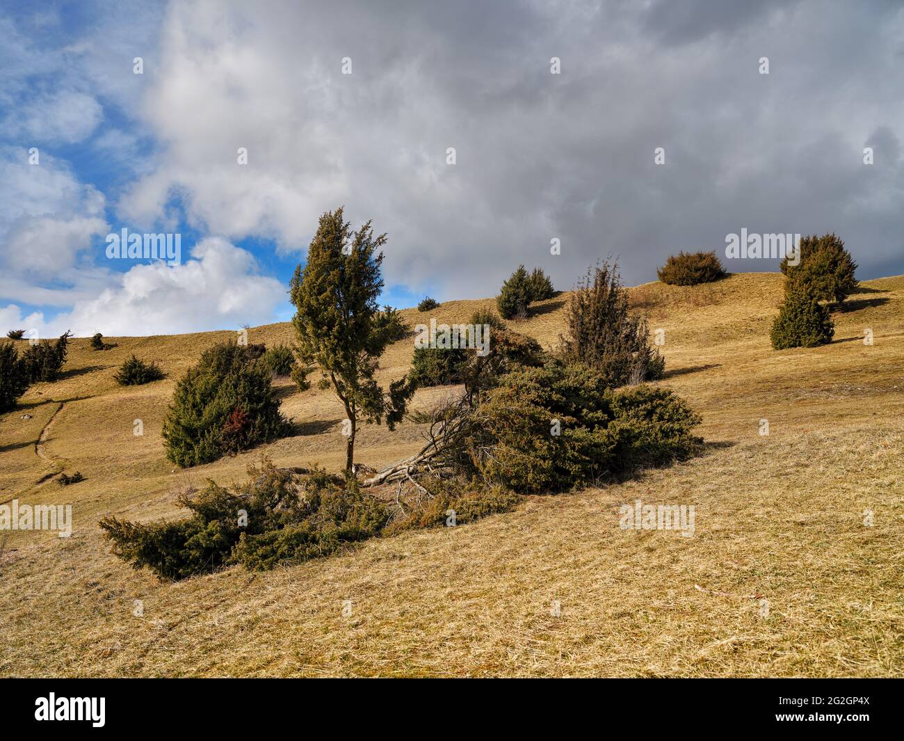 Sul Rolleberg nel Nördlinger Ries, Foto Stock