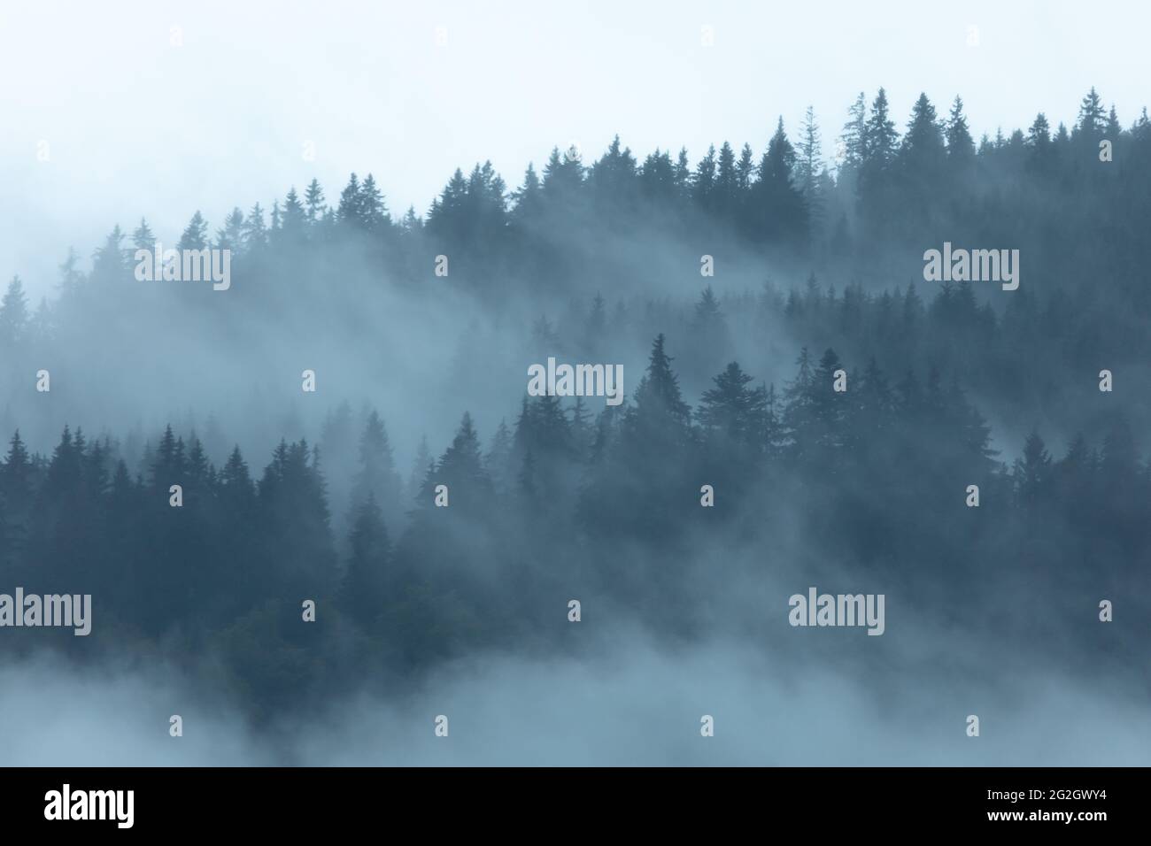 Nebbia umore in montagna. Foto Stock