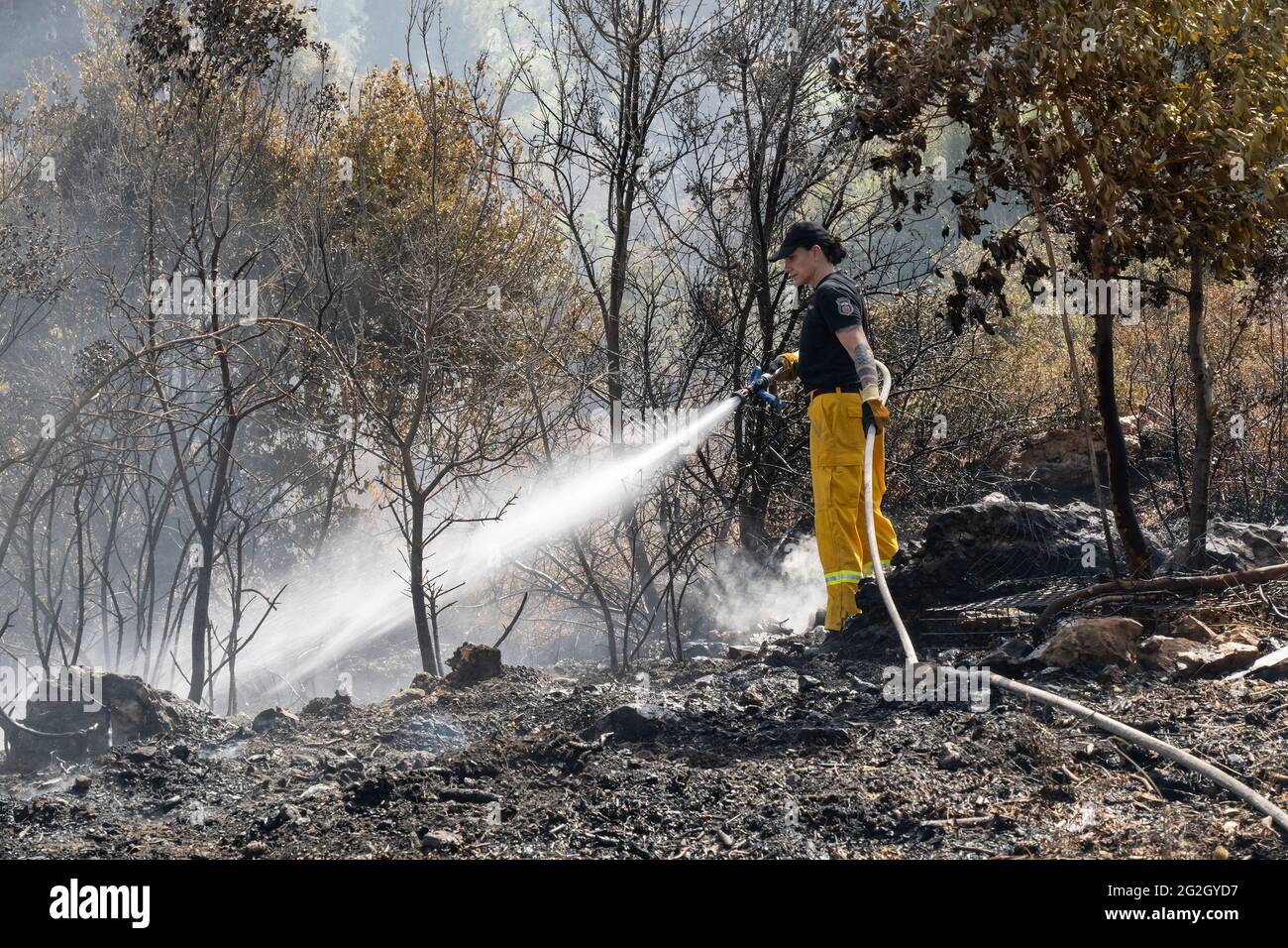 Maale Hahamisha, Israele - 10 giugno 2021: Un pompiere israeliano che combatte un grande incendio nella foresta vicino a Gerusalemme, Israele. Foto Stock
