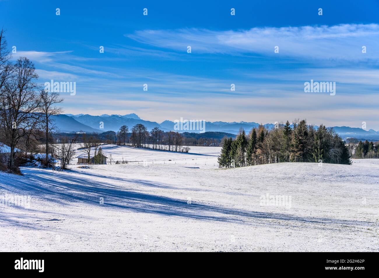 Germania, Baviera, alta Baviera, Tölzer Land, Dietramszell, distretto est, paesaggio invernale contro catena alpina Foto Stock