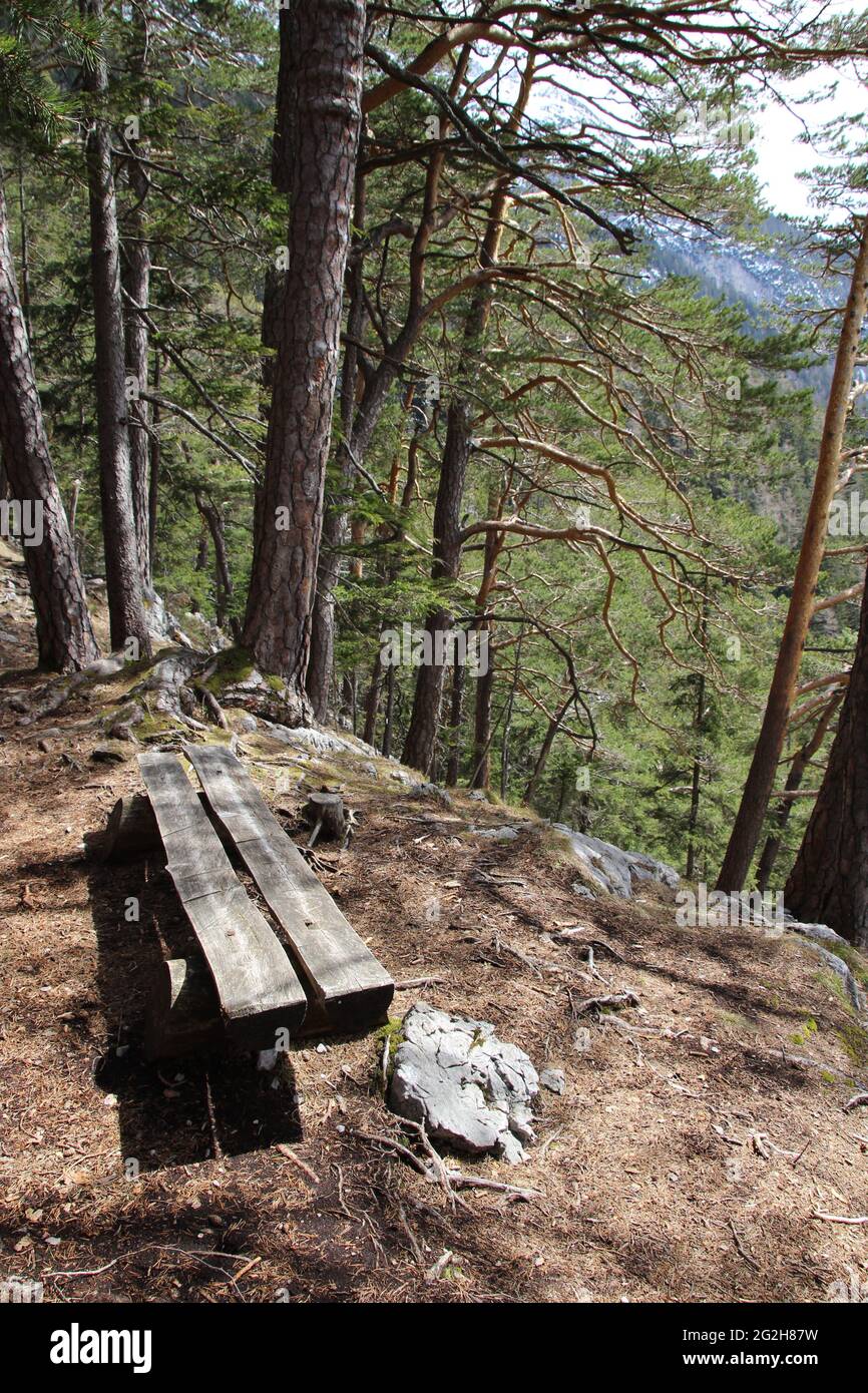 Posti a sedere presso il Leitersteig di Mittenwald, Europa, Germania, Baviera, alta Baviera, Mittenwald, Werdenfelser Land, Isar Valley, umore nuvoloso, Foto Stock