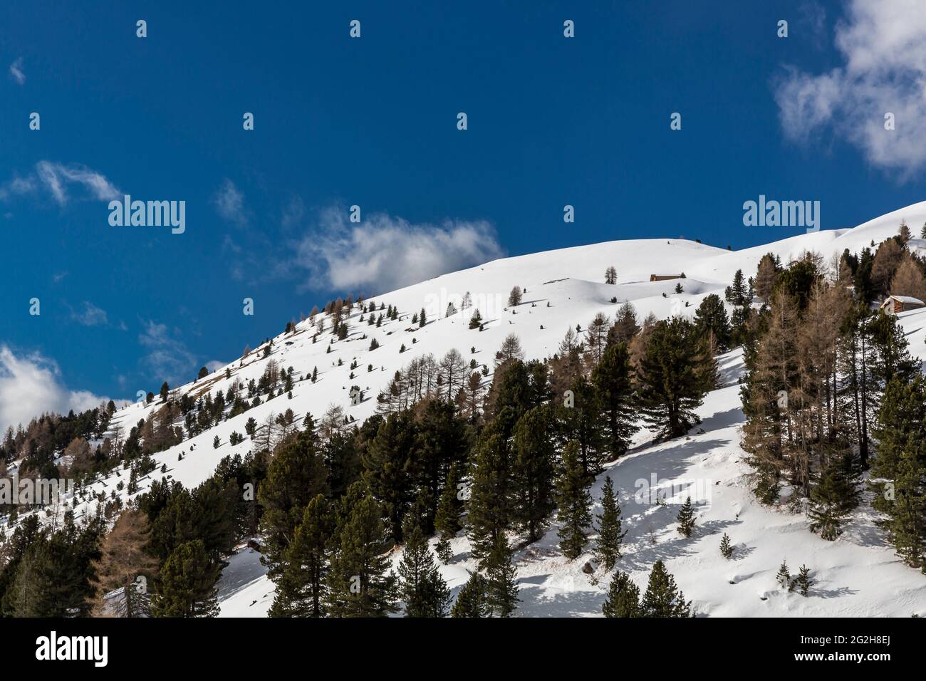 Paesaggio innevato in Val Gardena, Grödner Joch, Sellaronda, Alto Adige, Alto Adige, Dolomiti, Italia, Europa Foto Stock