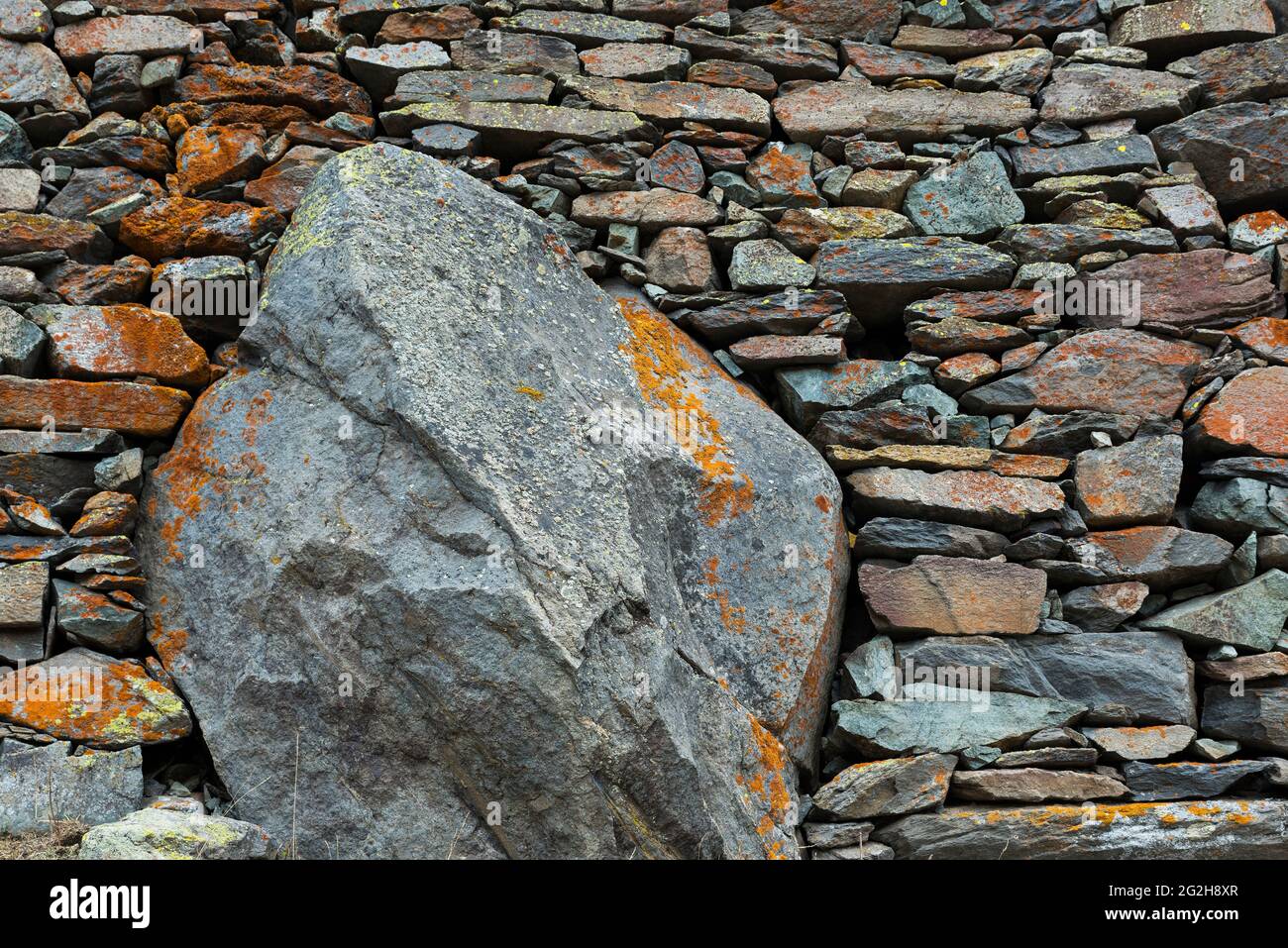 Muro di pietra con lichen, Vallée de la Clarée, Francia, Provenza-Alpi-Côte Azzurra, DIP. Hautes-Alpes Foto Stock