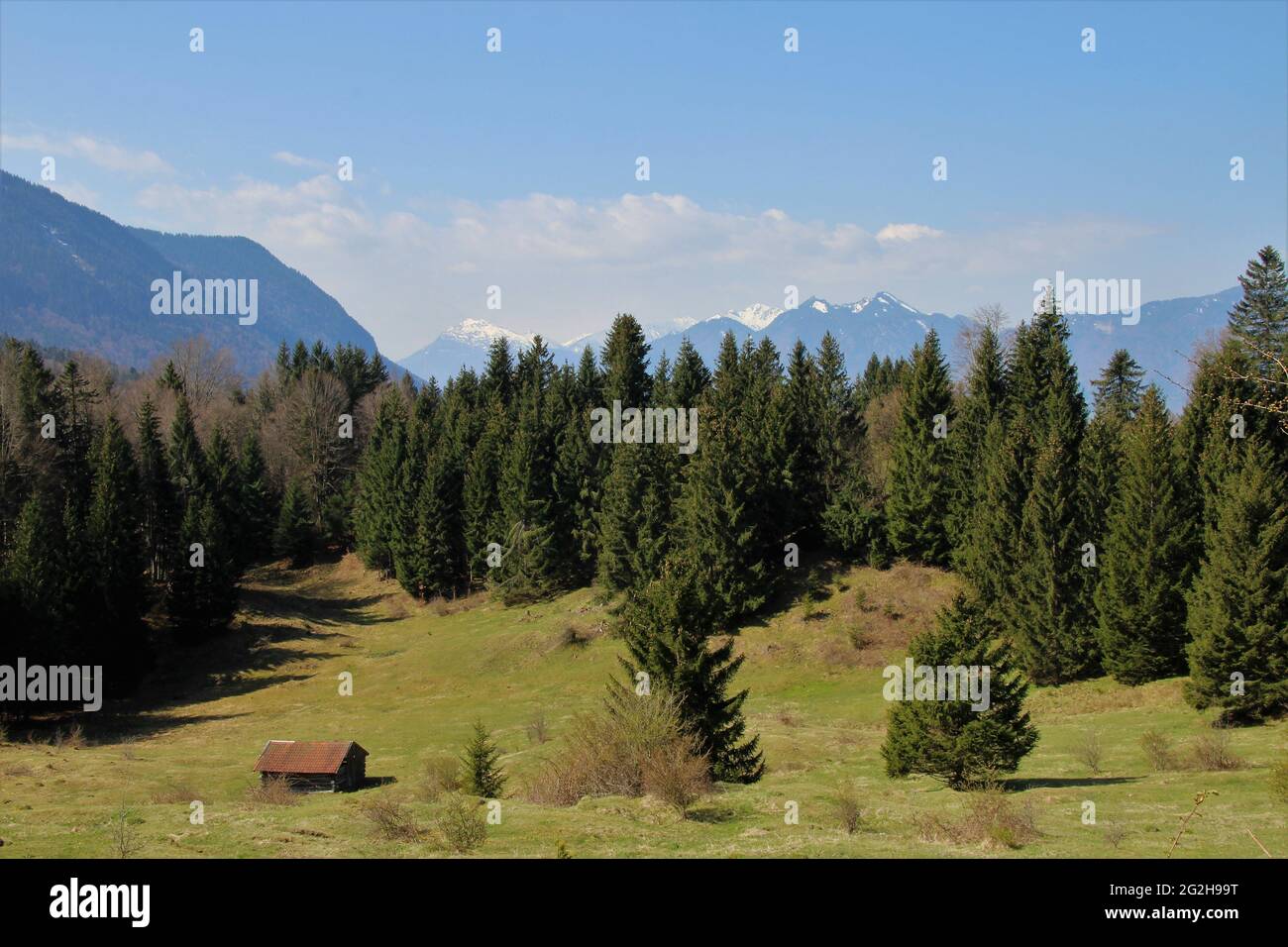 Paesaggio pre-alpino contro Estergebirge, Zugspitzgruppe (2962 m) e le Alpi Ammergau nei pressi di Ohlstadt, Das Blaue Land, alta Baviera, Baviera, Germania, Loisachtal Foto Stock Paesaggio pre-alpino contro Estergebirge, Zugspitzgruppe (2962 m) e le Alpi Ammergau nei pressi di Ohlstadt, Das Blaue Land, alta Baviera, Baviera, Germania, Loisachtal Foto Stock
