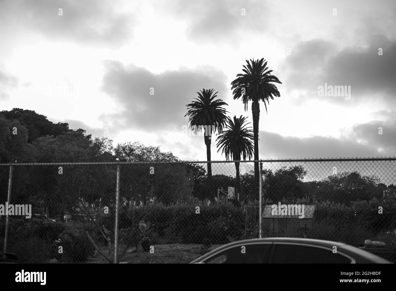 Guida sulla Pacific Coast Highway tra Malibu e Los Angeles, California, USA Foto Stock