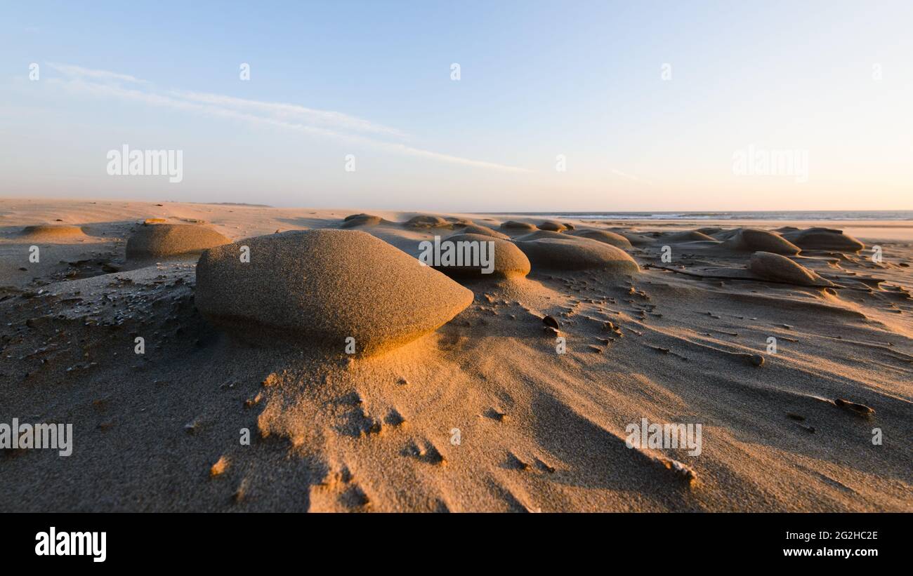 Un forte vento all'largo dell'Oceano Pacifico ha scolpito sculture naturali nella sabbia fine a South Beach sulla costa centrale dell'Oregon. Foto Stock