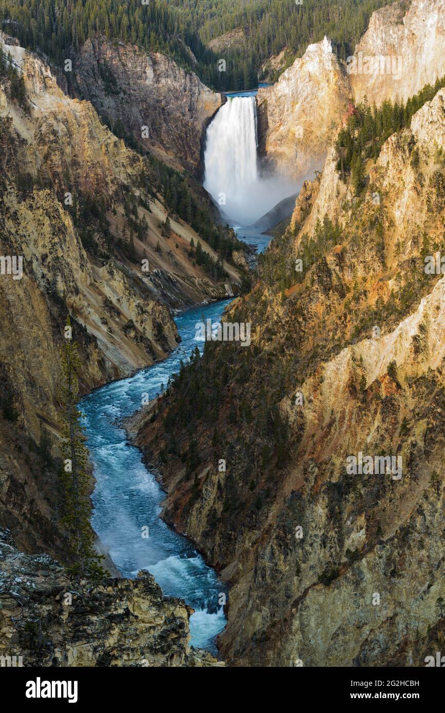 Le Lower Falls del fiume Yellowstone si gettano nel canyon sottostante, visto dal famoso punto di osservazione della destinazione turistica di Artist Point Foto Stock