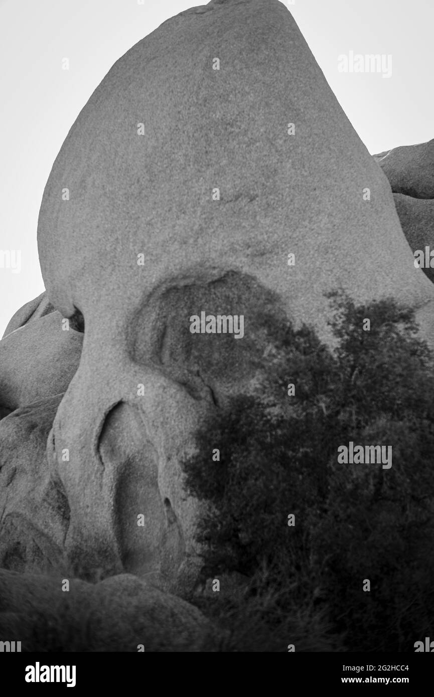 Joshua Tree National Park, San Bernadino County, California meridionale, Stati Uniti Foto Stock