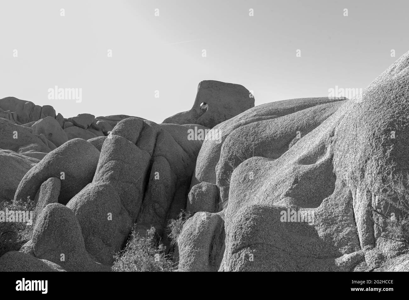 Joshua Tree National Park, San Bernadino County, California meridionale, Stati Uniti Foto Stock