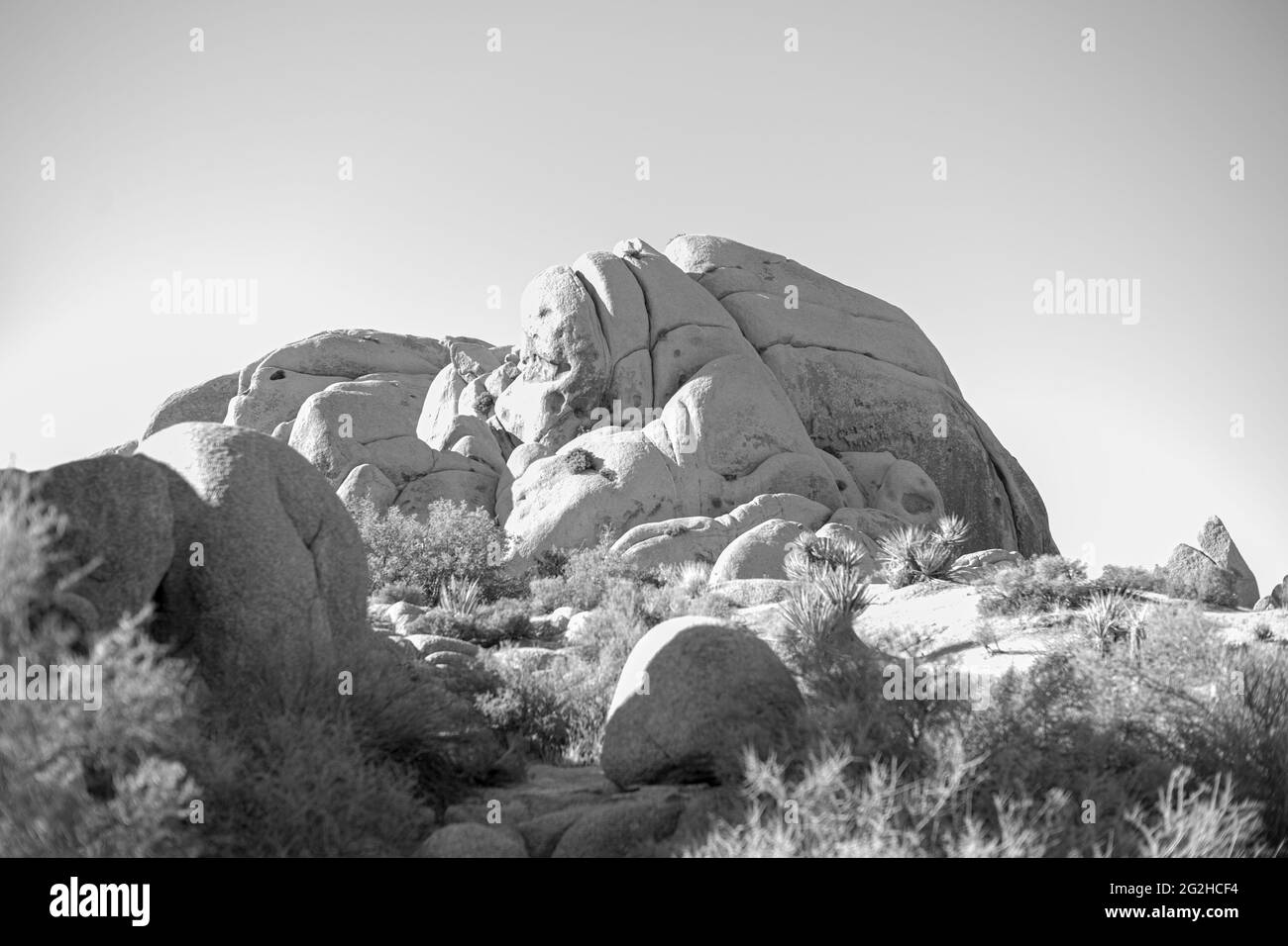 Joshua Tree National Park, San Bernadino County, California meridionale, Stati Uniti Foto Stock