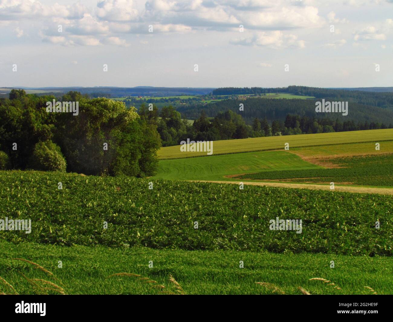 Paesaggio rurale estivo collinare con prato verde smeraldo, campi, mete e drammatiche nuvole nel cielo, natura morta, repubblica Ceca Foto Stock