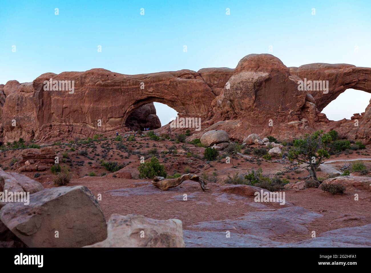 Arco della torretta - una pinna di arenaria con aperture grandi e piccole e una colonna di roccia più alta, simile a una torretta, a lato. Arches National Park, vicino a Moab nello Utah, Stati Uniti. Foto Stock