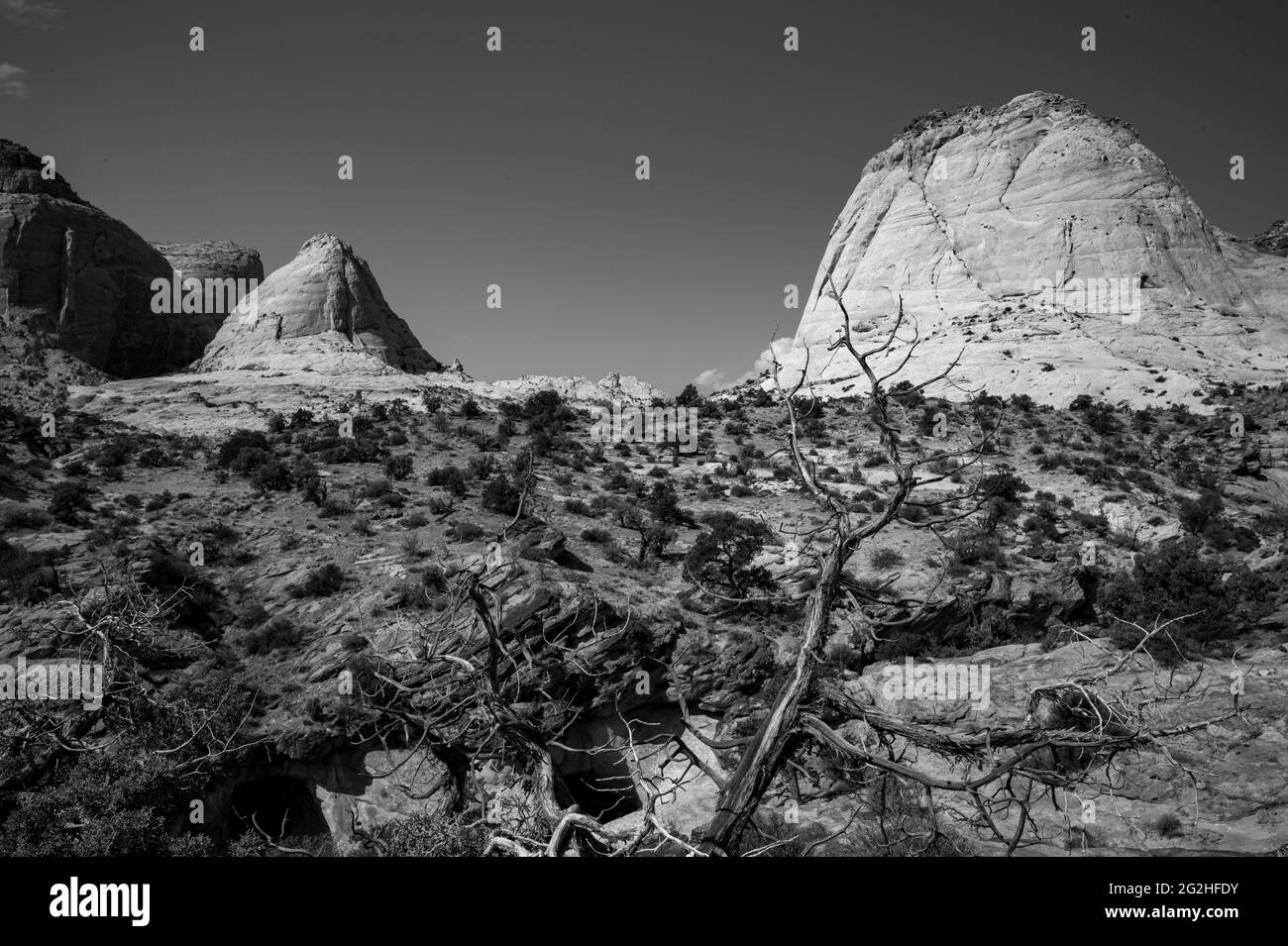 Sulla Capitol Gorge Trailhead alla fine della Scenic Drive nel Capitol Reef National Park, Utah, USA Foto Stock