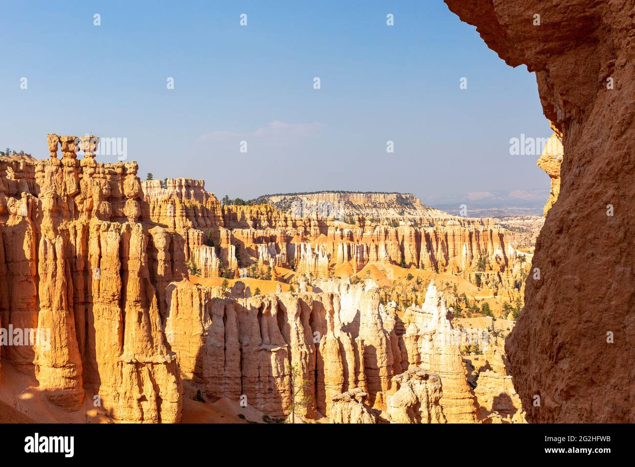 Martello di Thor. È uno degli hoodoos più fotografati del parco e vale la pena di vederlo. Bryce Canyon National Park, Utah, Stati Uniti Foto Stock
