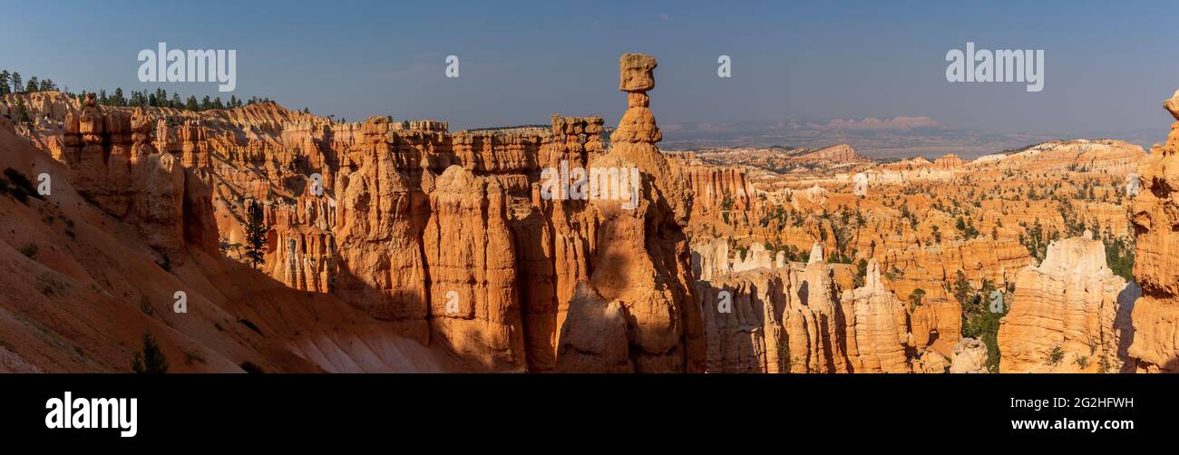 Martello di Thor. È uno degli hoodoos più fotografati del parco e vale la pena di vederlo. Bryce Canyon National Park, Utah, Stati Uniti Foto Stock