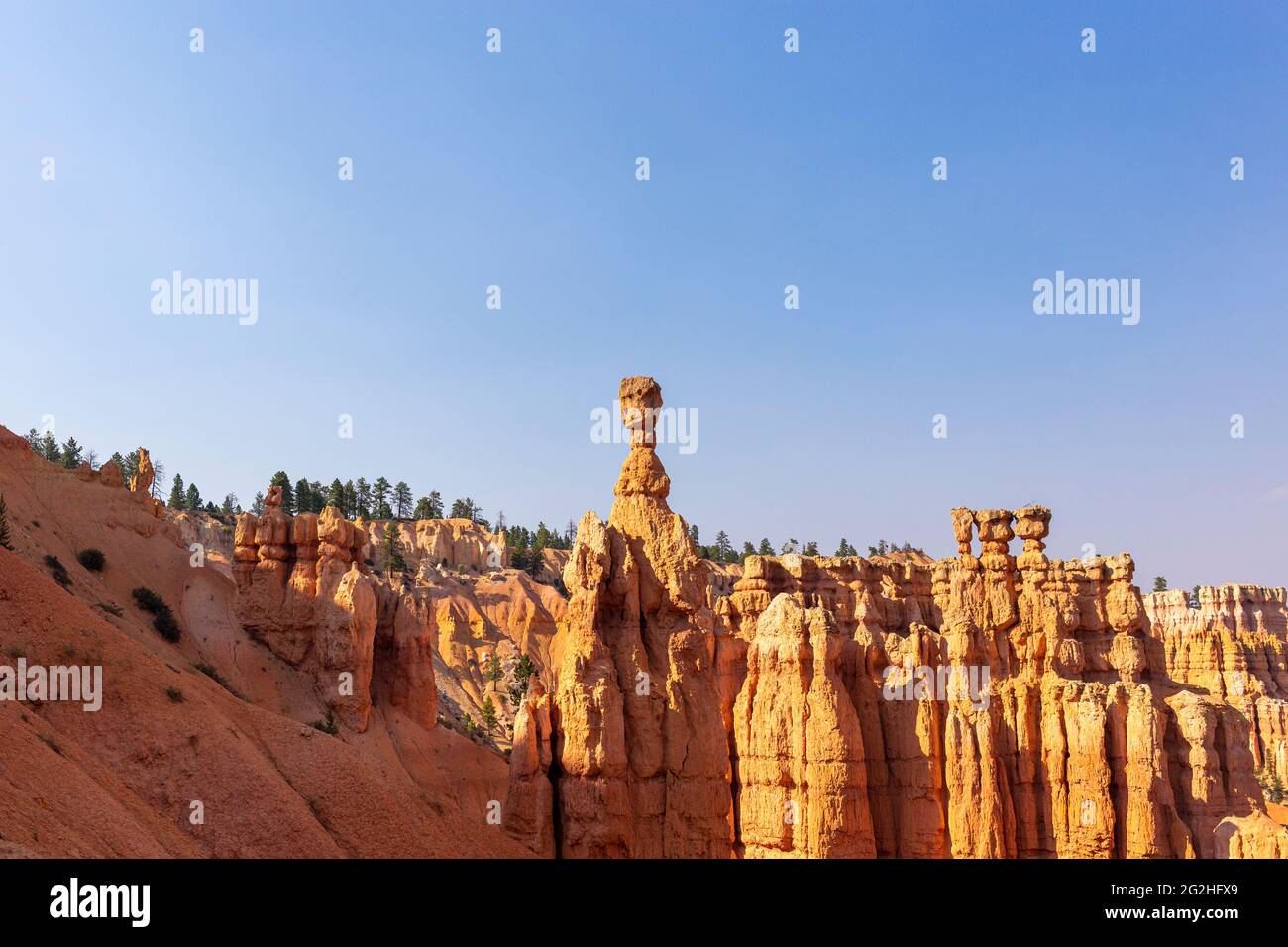 Martello di Thor. È uno degli hoodoos più fotografati del parco e vale la pena di vederlo. Bryce Canyon National Park, Utah, Stati Uniti Foto Stock