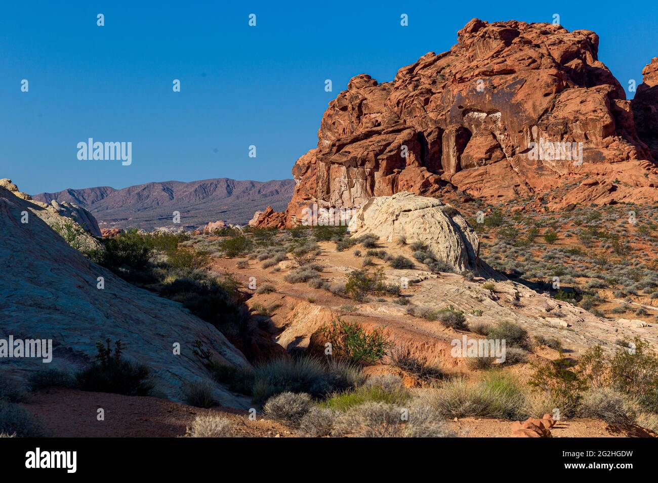 La Valle del Fuoco del parco statale, Nevada, STATI UNITI D'AMERICA Foto Stock