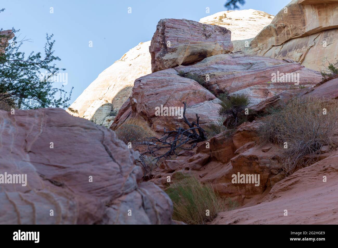 La Valle del Fuoco del parco statale, Nevada, STATI UNITI D'AMERICA Foto Stock