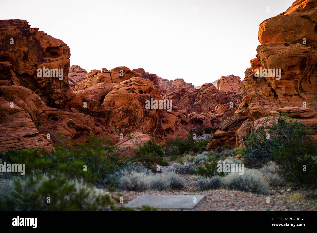 Splendido paesaggio colorato con rocce rosse illuminate dal sole del mattino nel Valley of Fire state Park, Nevada, USA Foto Stock