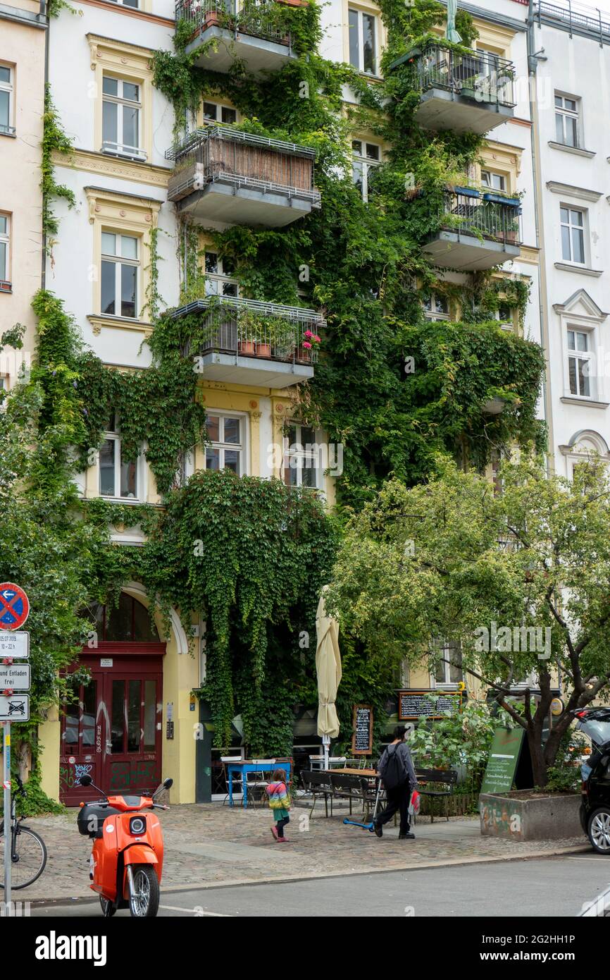 Casa verde e balconi nella strada laterale di Kastanienalle, Prenzlauer Berg, Berlin Mitte, Berlino, Germania Foto Stock