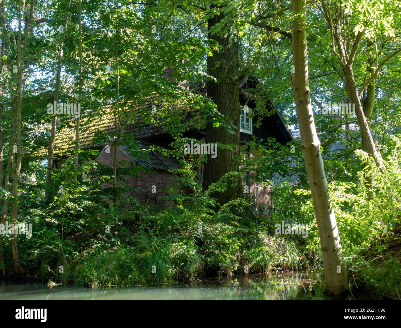 Casa sul canale, interno Spreewald vicino a Lübbenau, Riserva della Biosfera, Brandeburgo, Germania Foto Stock