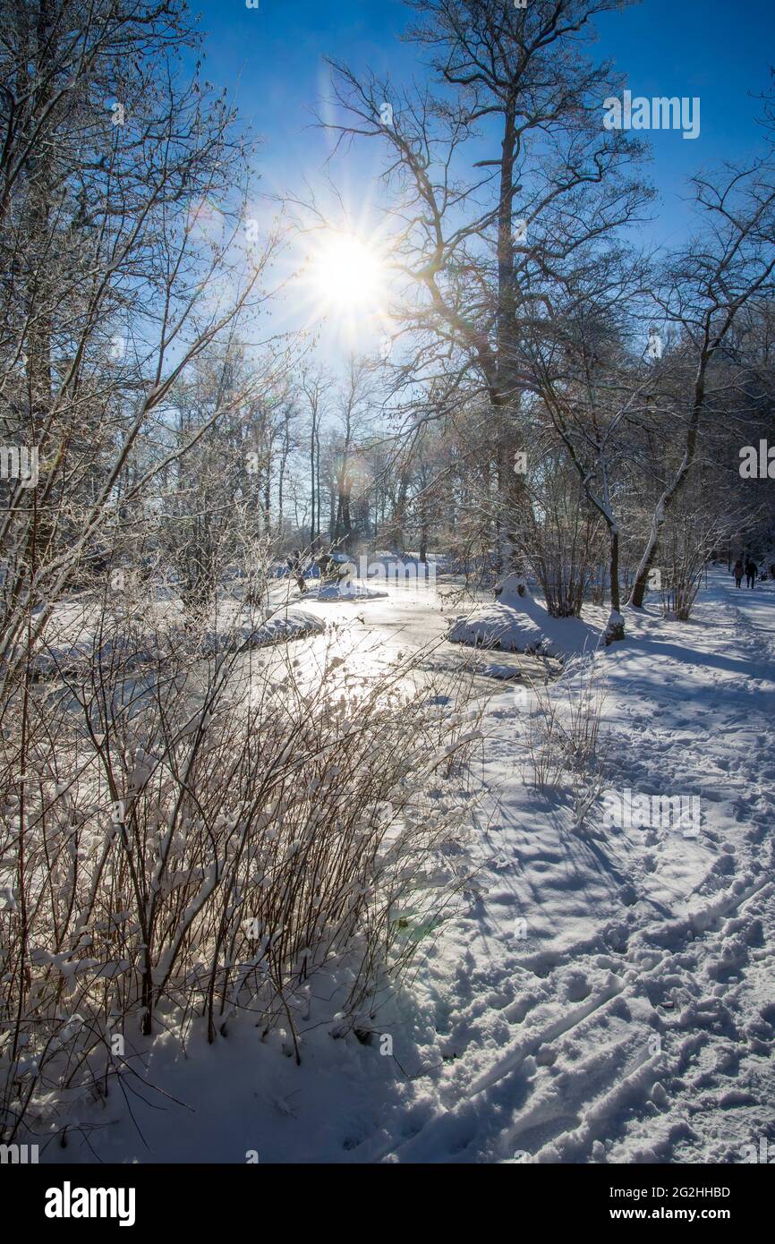 Piramide di terra nel Branitz Pücklerpark Foto Stock