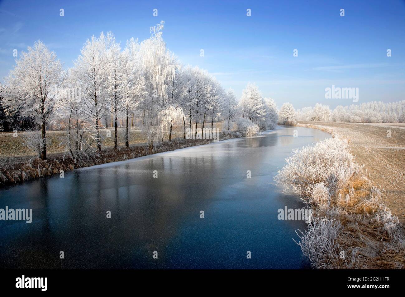 Wintry Spreewald Foto Stock