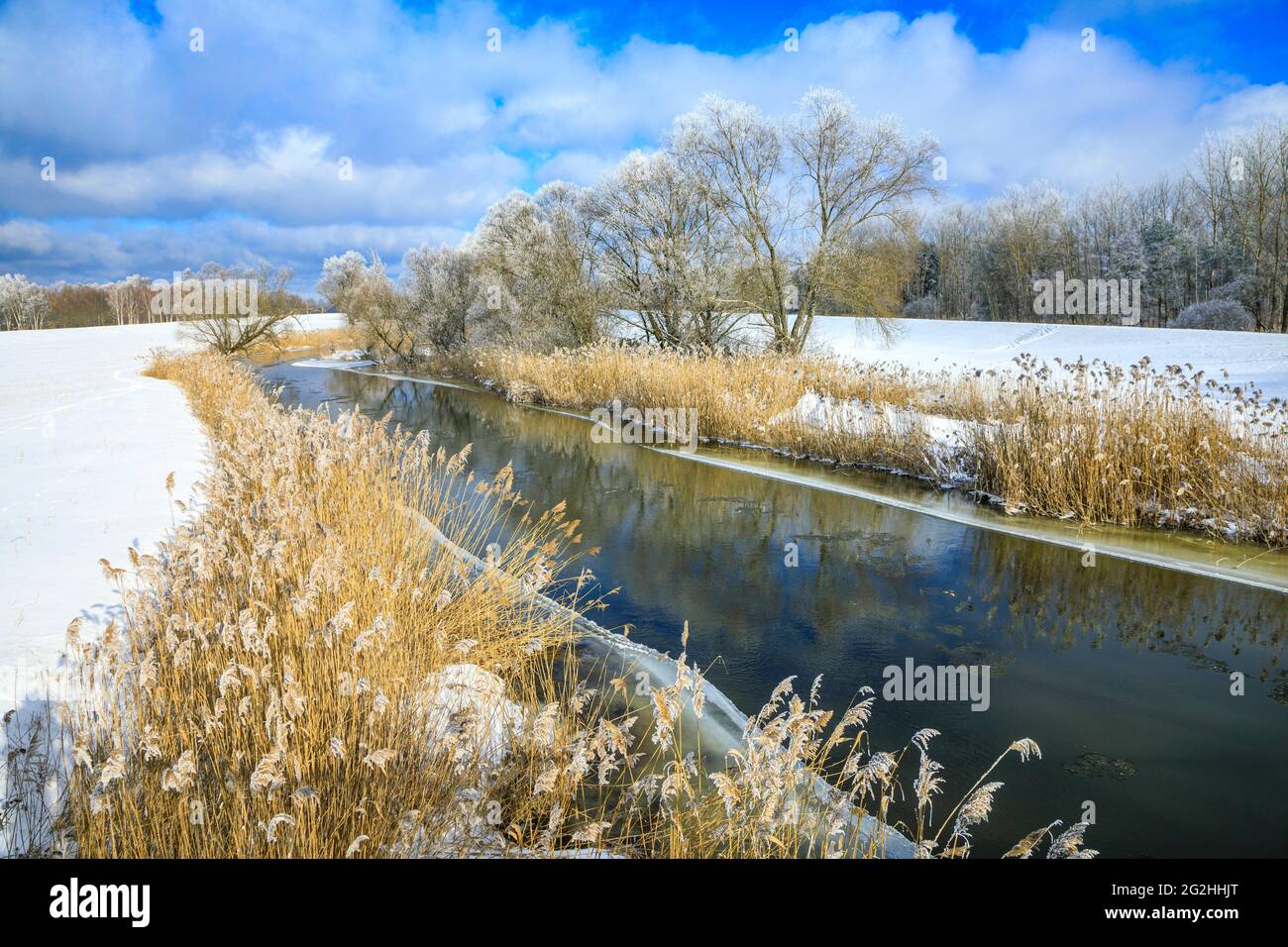 Wintry Spreewald Foto Stock