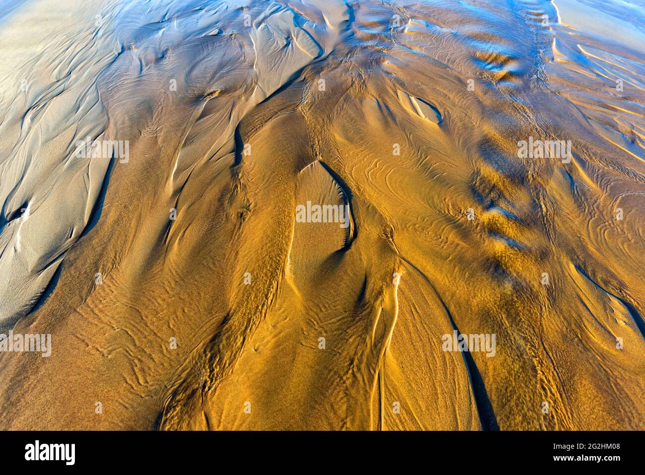 Tricle sulla spiaggia, Whiterocks Beach, County Antrim, Irlanda Foto Stock