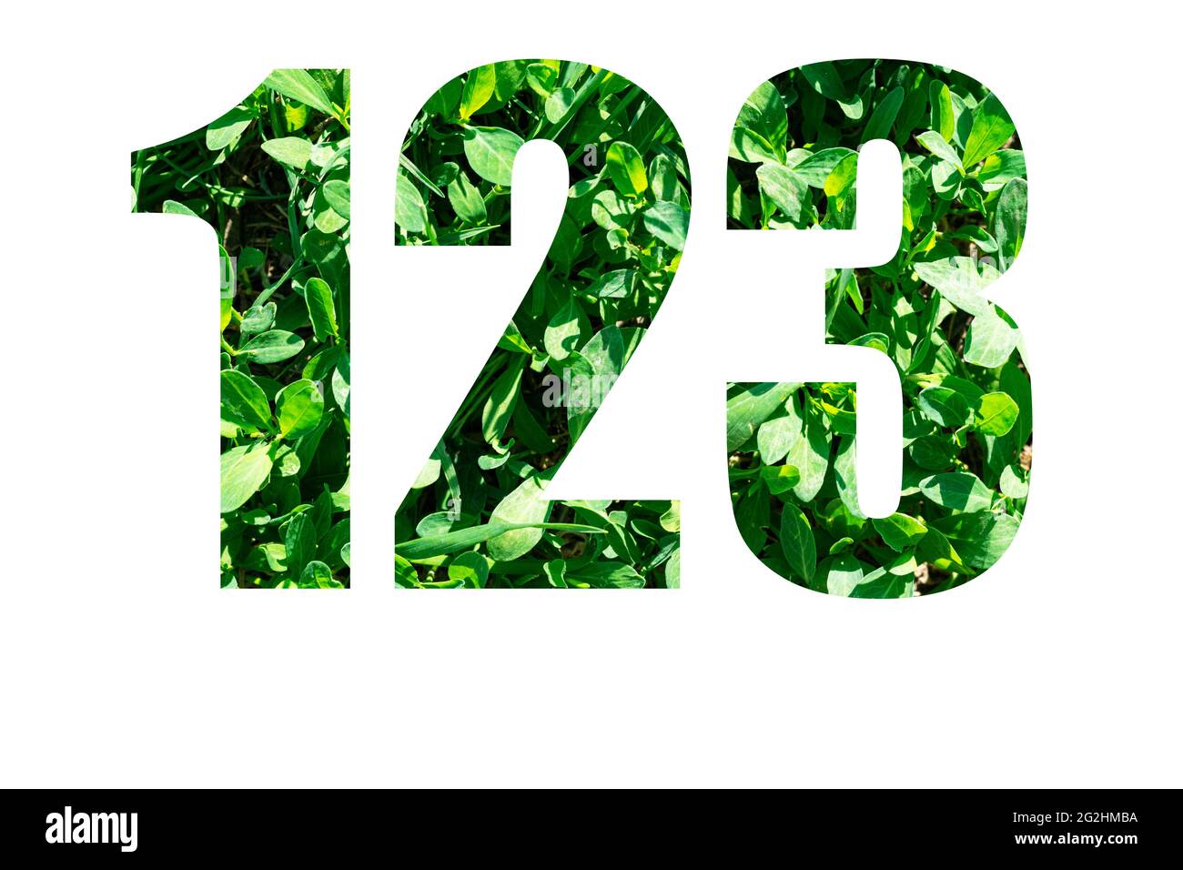 Numeri 1 2 3 da erba verde isolata su sfondo bianco. Elementi per il tuo progetto. Foto Stock
