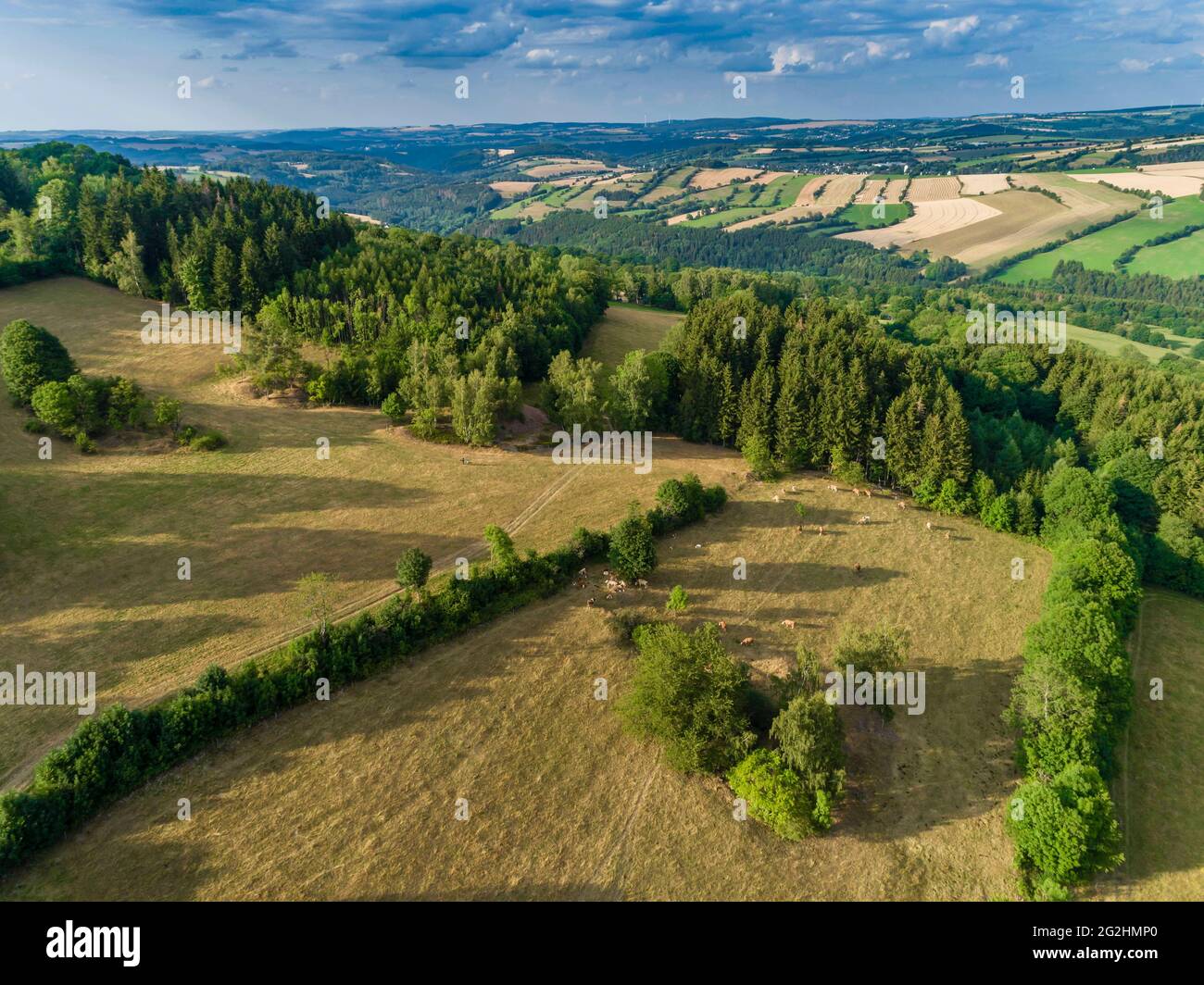 Paesaggi minerari Pöhlberg fa parte della nomina del Patrimonio Mondiale all'interno del Montanlandschaft Annaberg-Frohnau Foto Stock