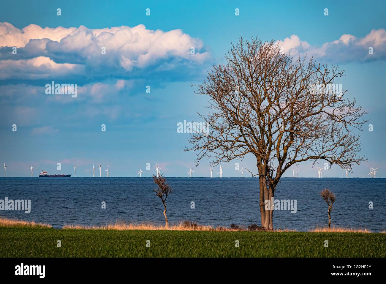 Impressione costiera, Staberhuk, Isola di Fehmarn, Mar Baltico Foto Stock