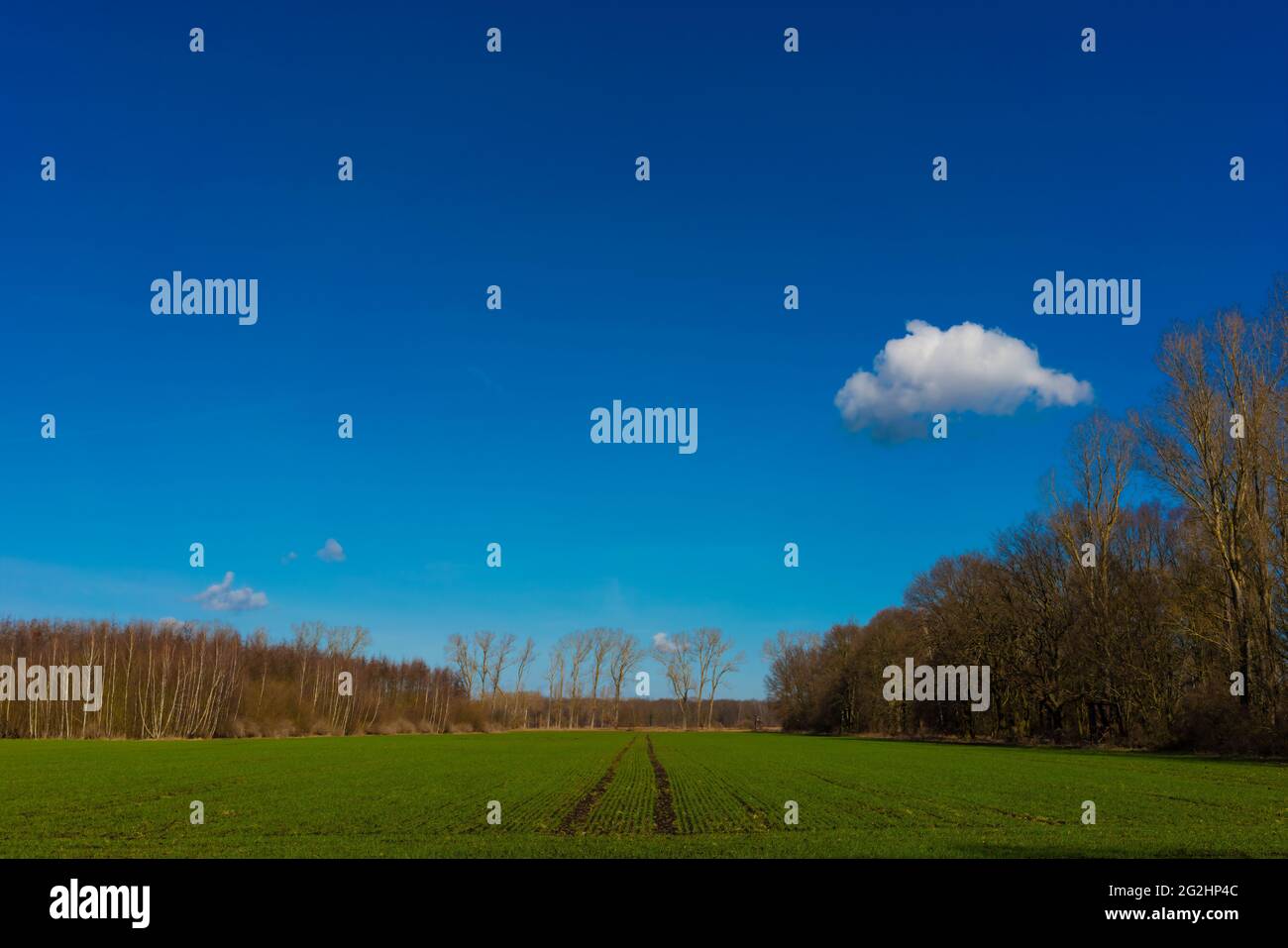 Zona agricola in una giornata di sole Foto Stock