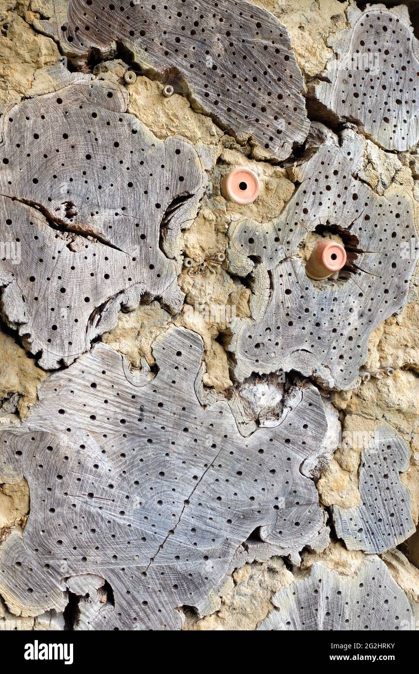 Hotel insetto fatto di legno forato e argilla Foto Stock