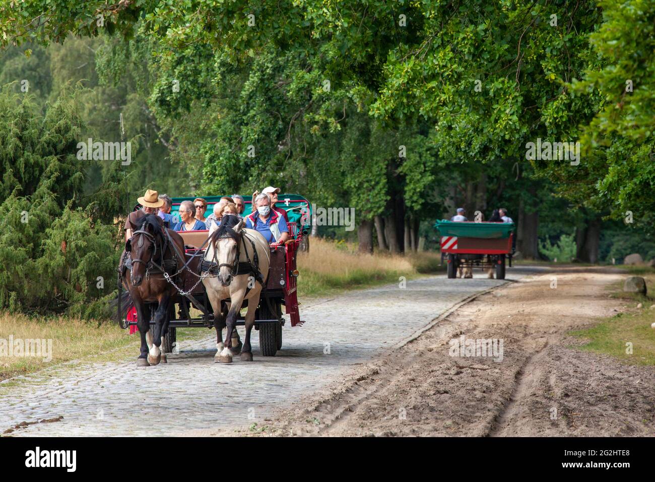 Festa del villaggio con carrozza trainata da cavalli e ciclisti, Wilsede, Laueneburg Heath, bassa Sassonia, Germania Foto Stock