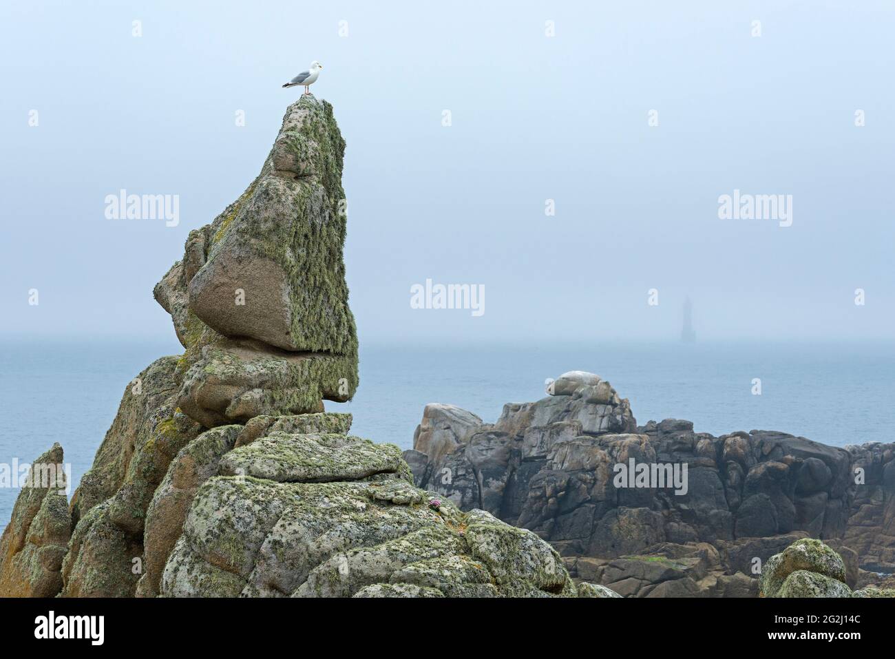 Rocce ricoperte di lichene a Pointe de Pern, Île d´Ouessant, Francia, Bretagna, dipartimento del Finistère Foto Stock