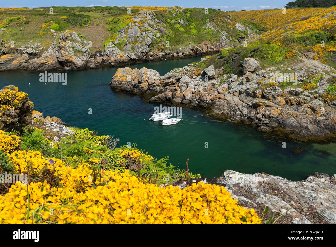 Port Saint Nicolas sul Île de Groix, le barche si trovano in acqua, gole fiorisce sulle pendici, Francia, Bretagna, dipartimento di Morbihan Foto Stock
