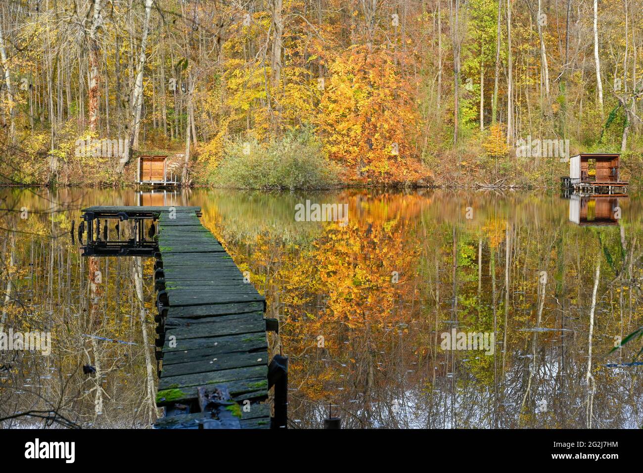 Germania, Renania-Palatinato, Wörth, Altrheinarm, vecchio ponte di legno. Foto Stock