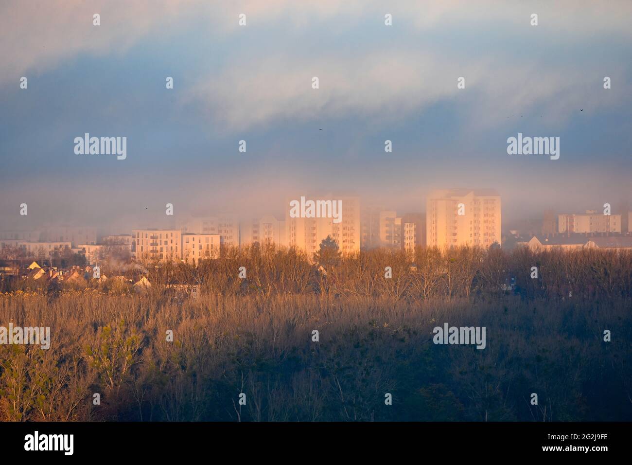 Germania, Baden-Wuerttemberg, Karlsruhe, vista dal Turmberg al quartiere di Ringheim nella nebbia. Foto Stock