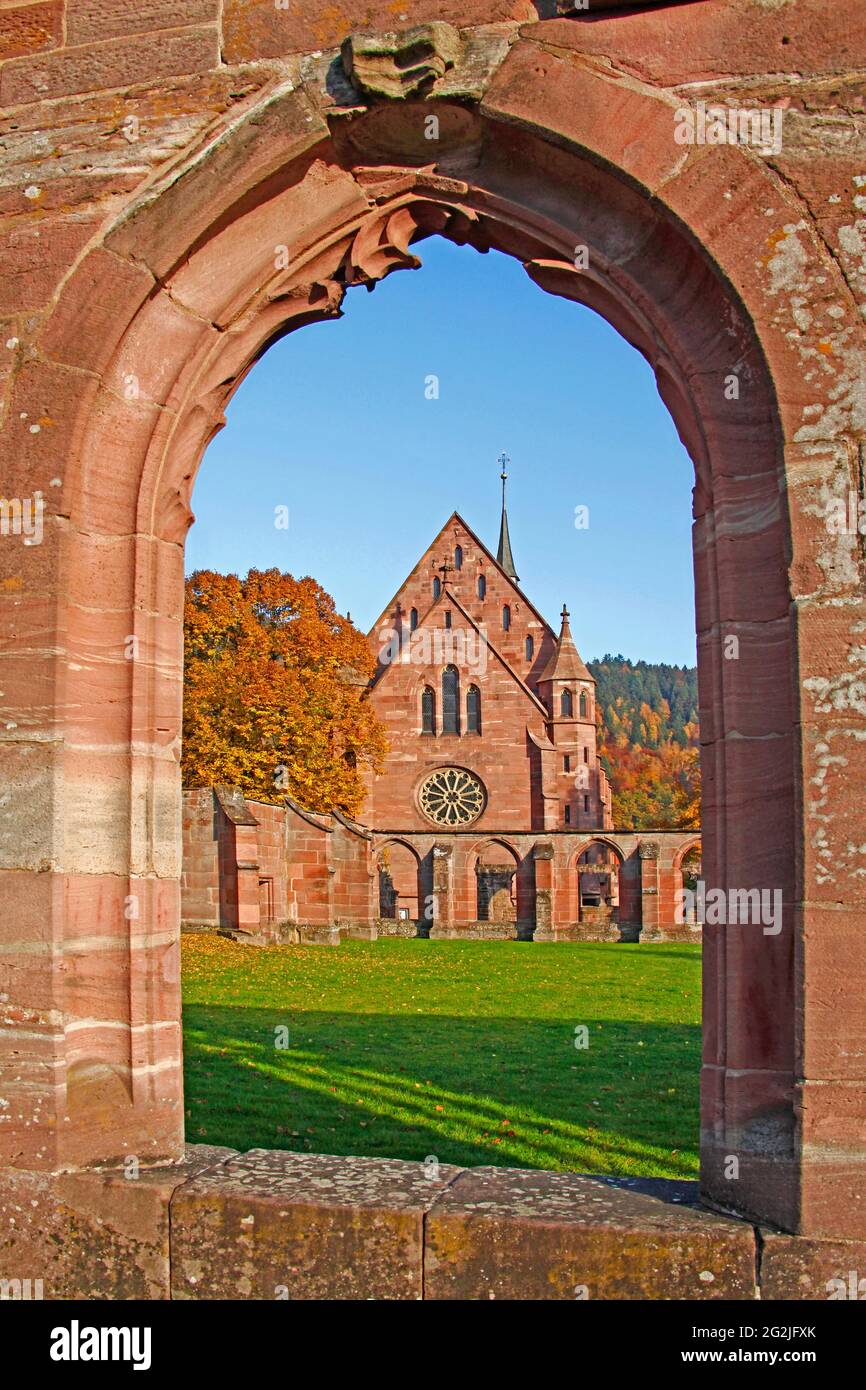 Rovine del monastero di Hirsau, ex monastero benedettino, costruzione del complesso di San Pietro e Paolo alla fine del 11 ° secolo, Calw, distretto di Hirsau, Baden-Württemberg, Germania Foto Stock